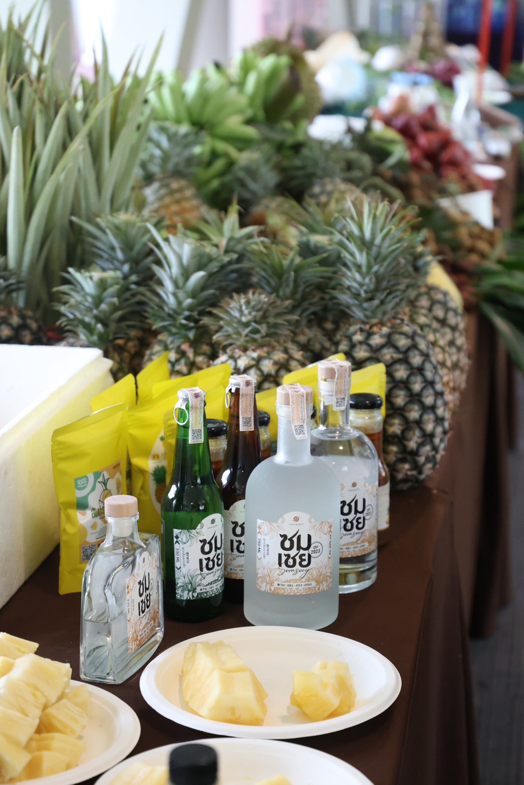 title - ส.ป.ก. ร่วมสัมมนาเชิงปฏิบัติการ ติดตามผลและให้คำแนะนำเชิงเทคนิคเยาวชนเกษตรที่ผ่านการฝึกงานจากญี่ปุ่น